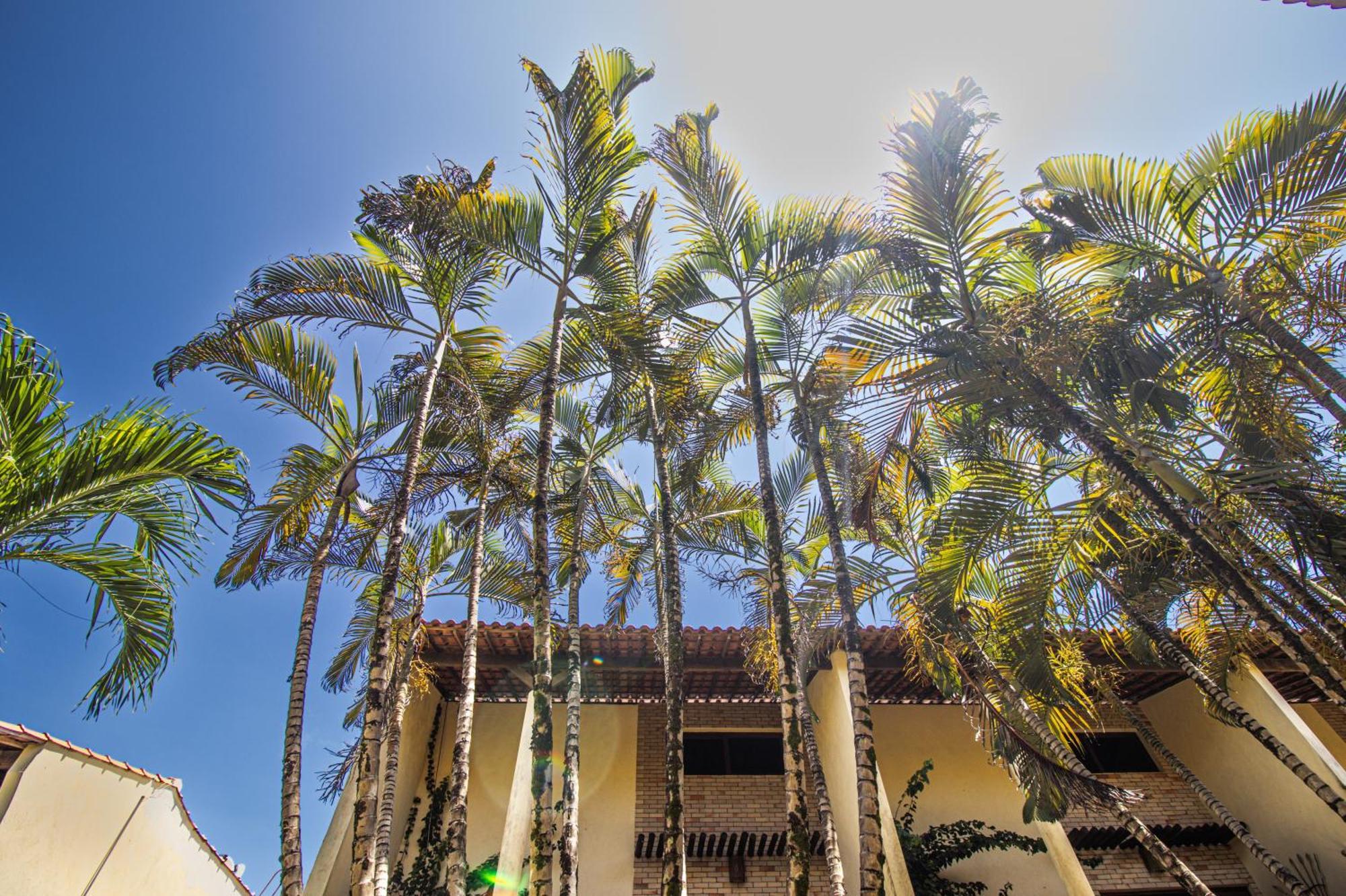 Condominio Solar Pipa - Apartamento Economico, Sem Varanda Praia de Pipa Luaran gambar